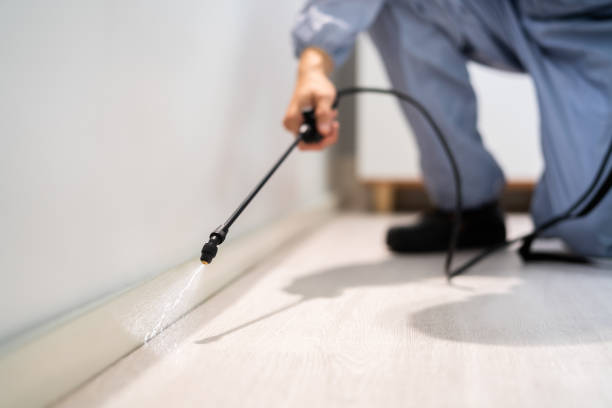 Licensed Cockroach Control service in Hooper, UT - Nex Pest Control