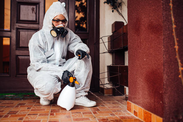 Reliable Cockroach Control contractor in Hooper, UT by Nex Pest Control